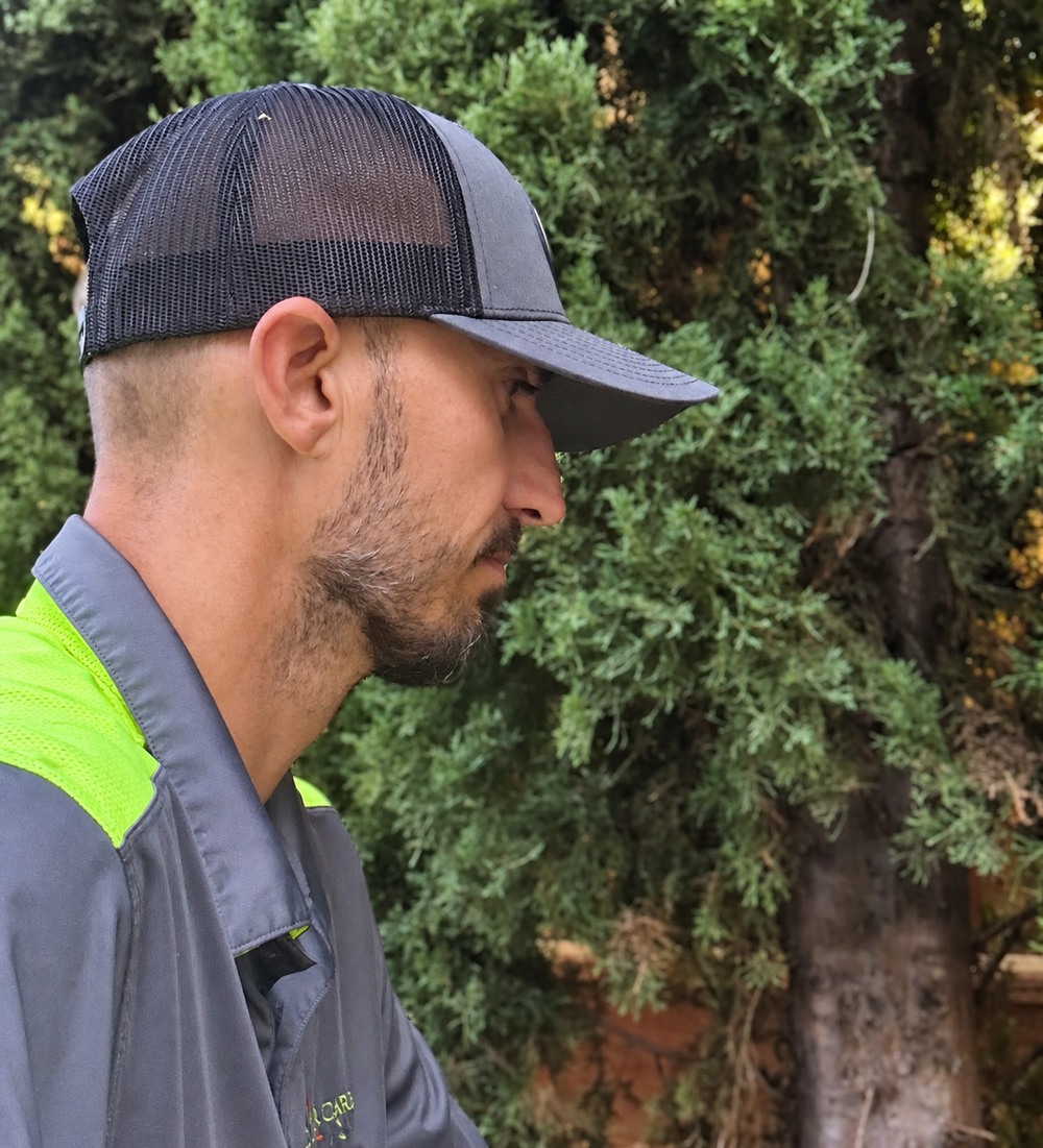Charles Turner, founder of Natural Arbor Care and ISA Certified Arborist, beside an evergreen tree.